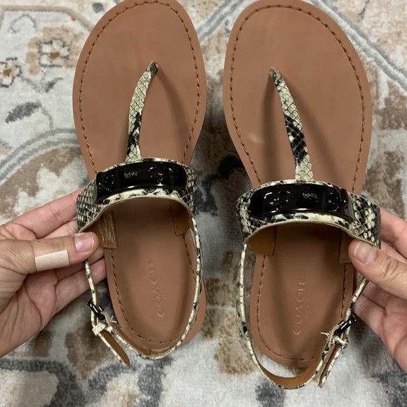 Coach Shoes - Coach Python Sandals